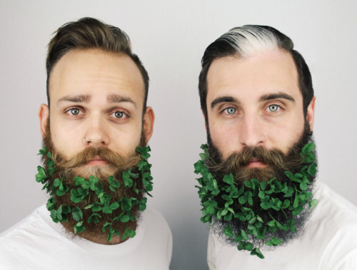 The_Gay_Beards_green