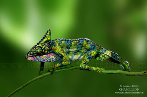 chameleon bodypainting by johannes stoetter