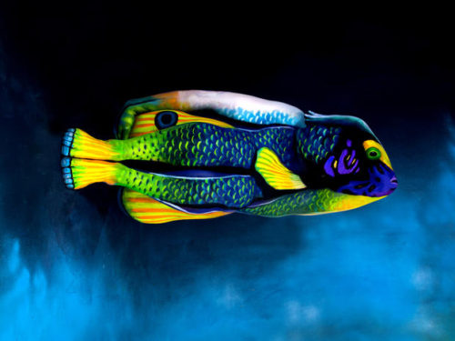 Fish bodypainting by johannes stoetter