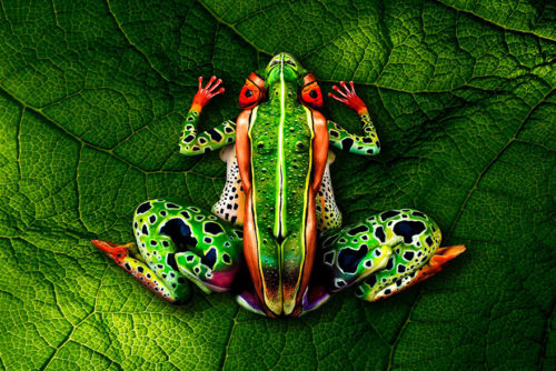 frog bodypainting by johannes stoetter