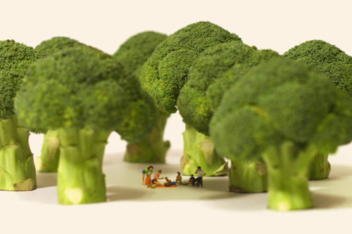 miniature calendar tatsuya tanaka broccoli picnic