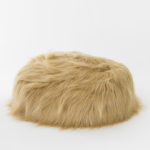 Hairy thing