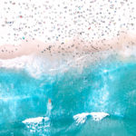 Bondi Beach