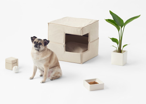 minimalist dog crate