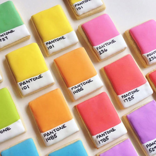 Pantone cookies2 by Holly Fox