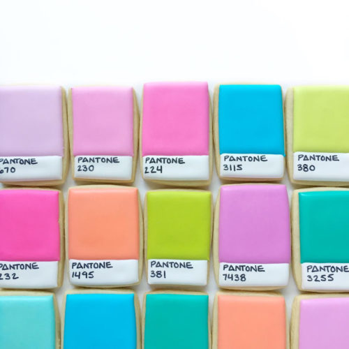 Pantone cookies by Holly Fox