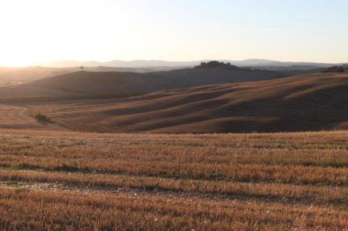 Tuscany fields / Seta Zakian