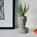 A wise-man’s head transformed into a planter