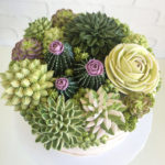 Buttercream Succulents